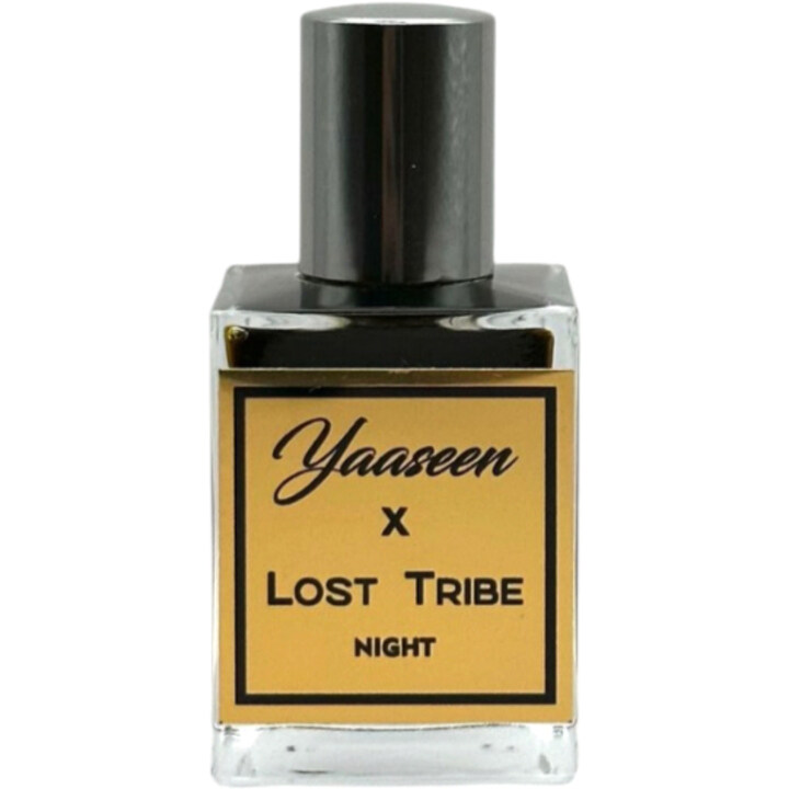 Yaaseen x Lost Tribe - Night